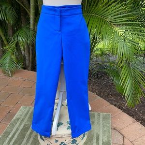 Royal Blue Pants